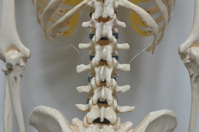 【武蔵野市】側弯症を放置すると起こるリスクとは？